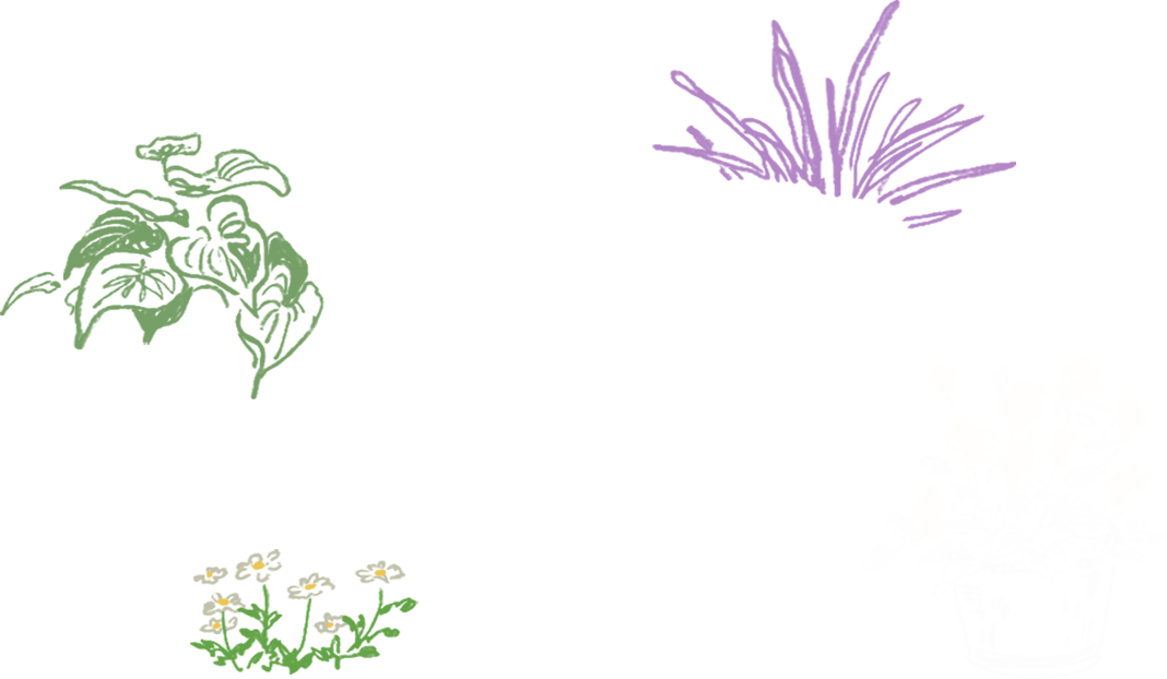花のイラスト