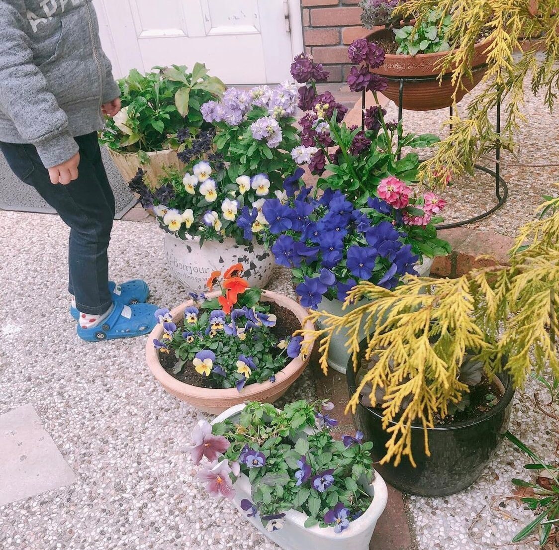 写真
