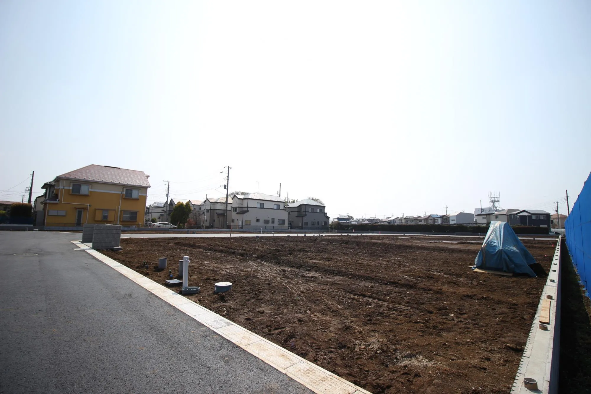 ★販売現地★
2026.3.29 撮影