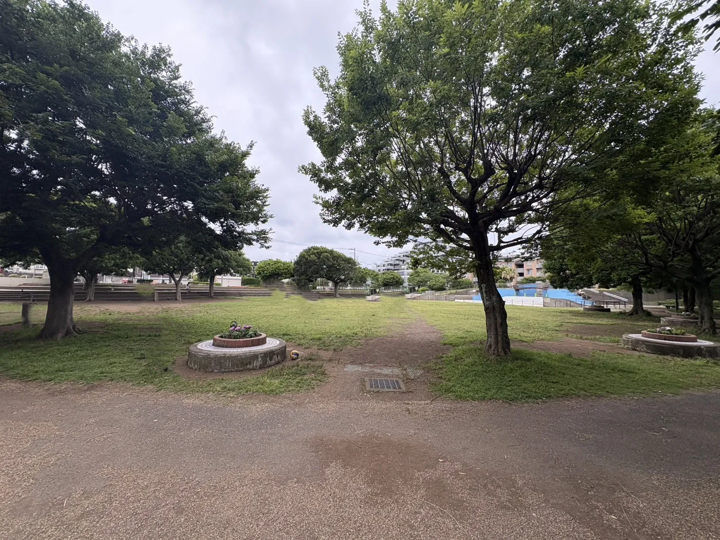 なでしこ公園