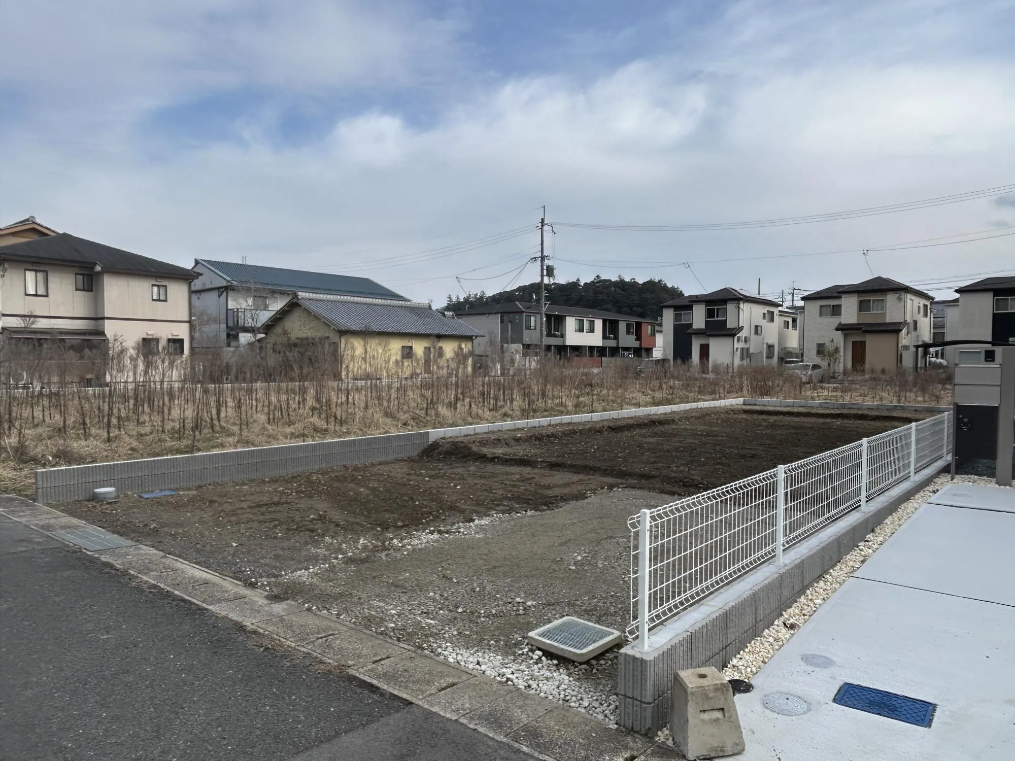 【販売現地】
2026.2.20撮影