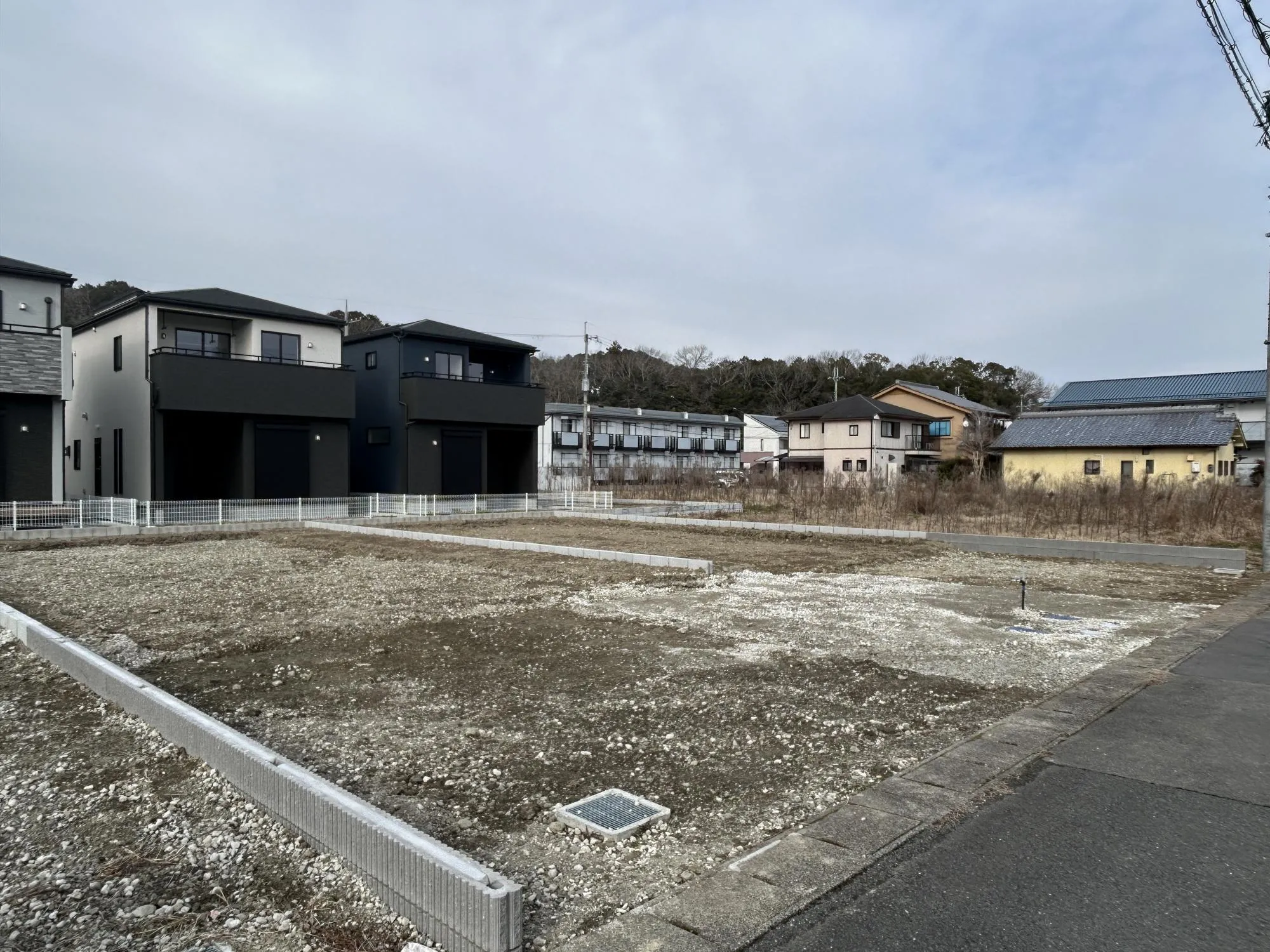 【販売現地】
2026.2.20撮影