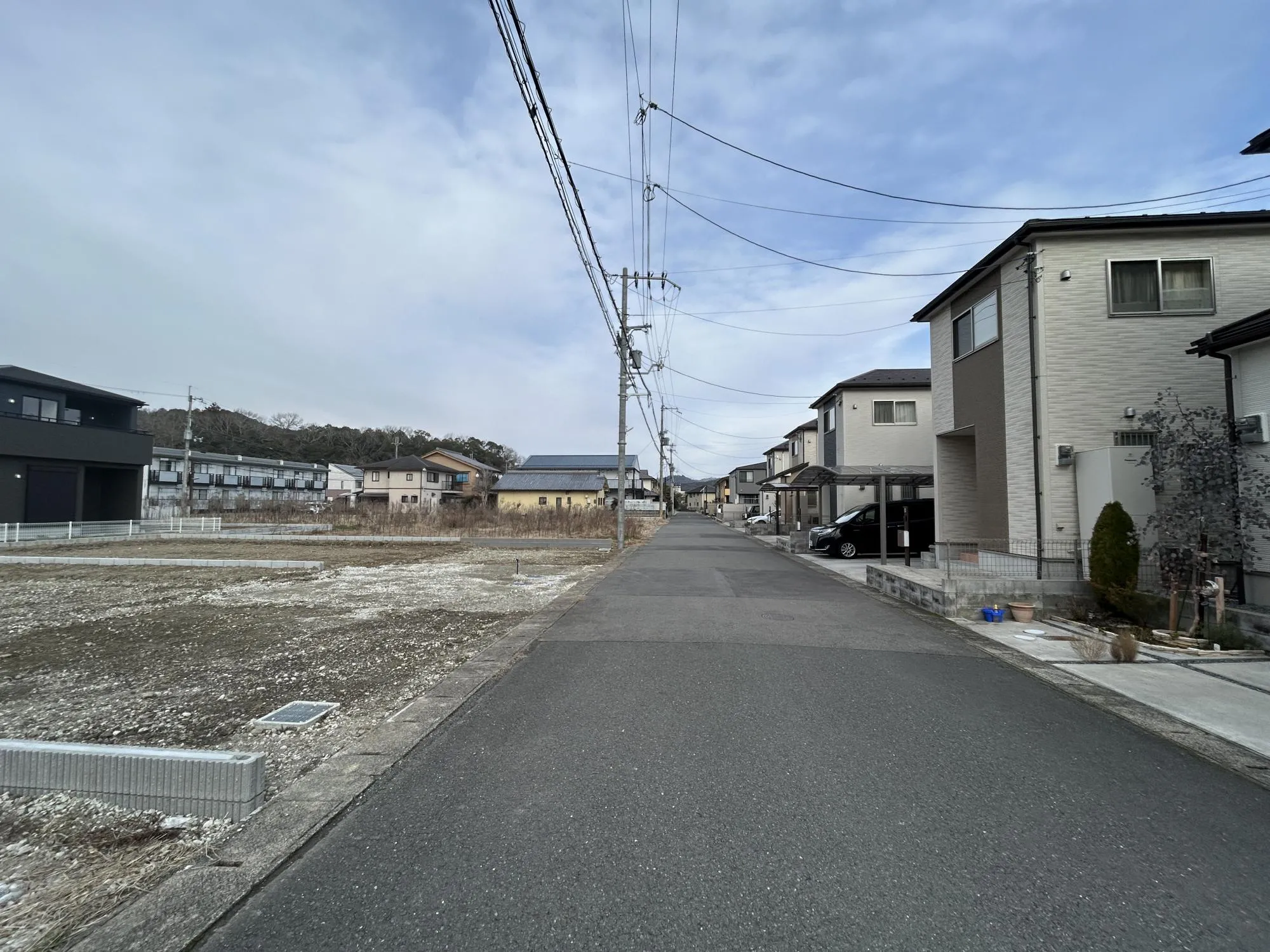 【販売現地】
2026.2.20撮影