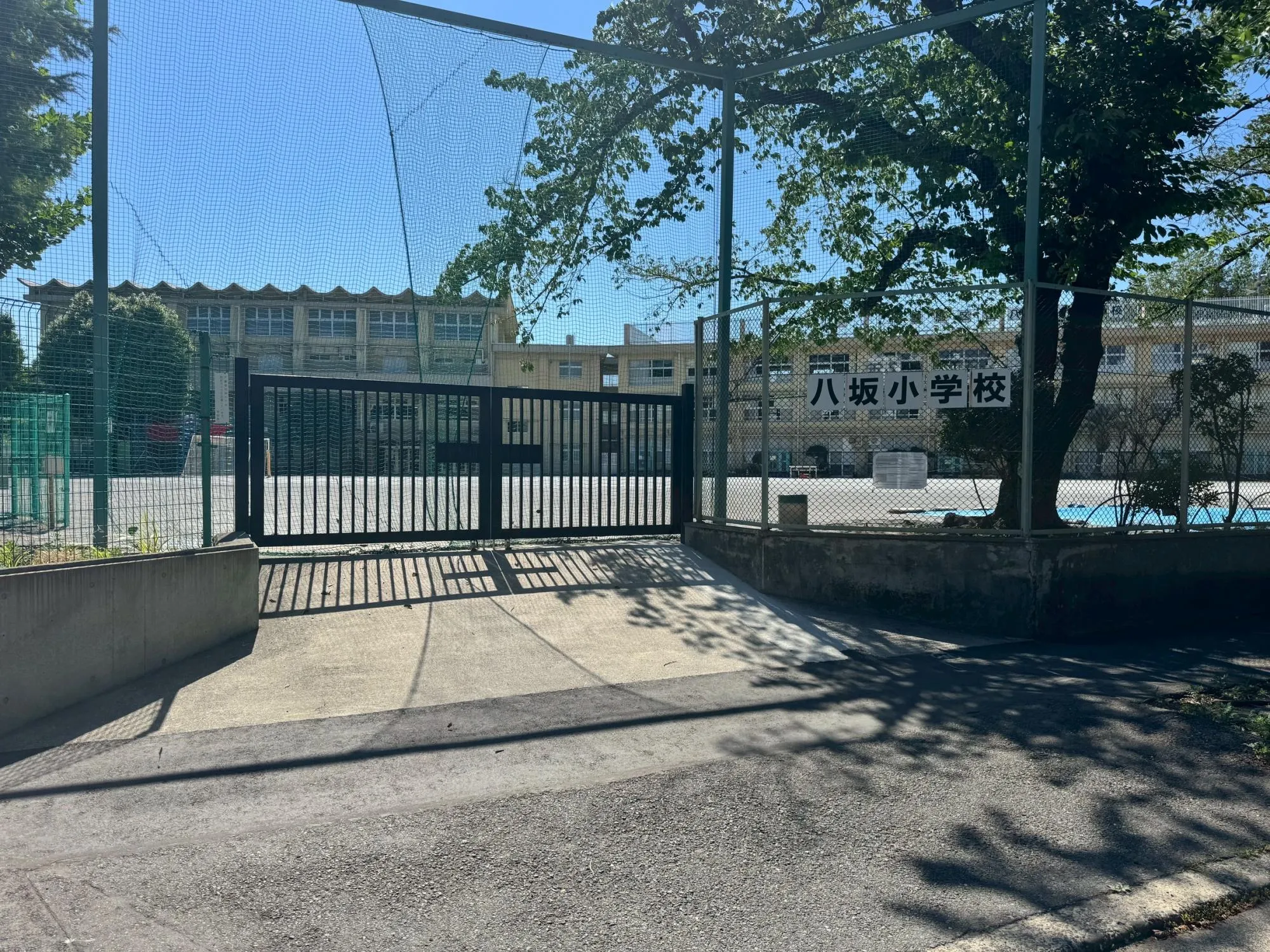 八坂小学校