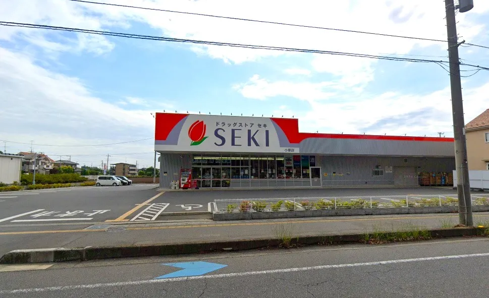 ドラッグストア セキ 小泉店