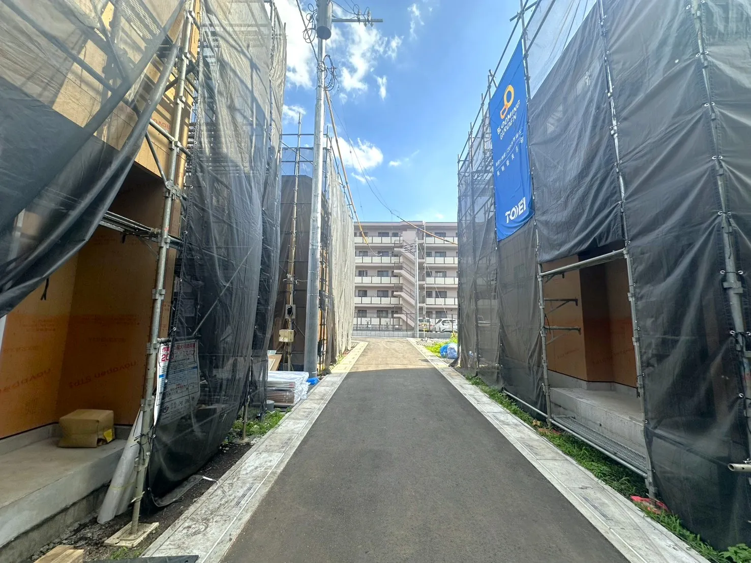 ◇開発道路