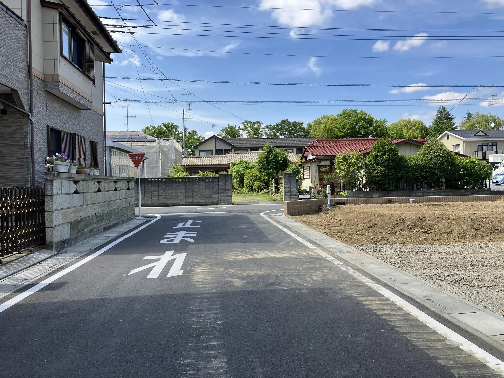 現地写真　6月撮影