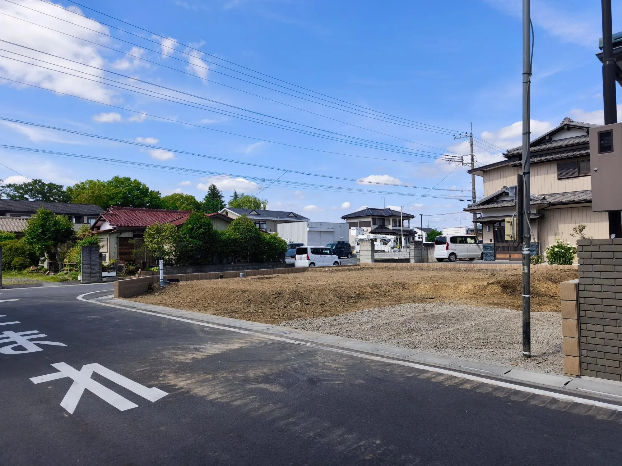 現地写真　6月撮影