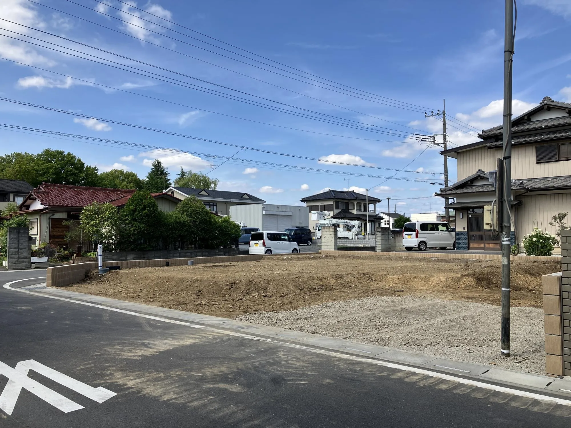 現地写真　6月撮影