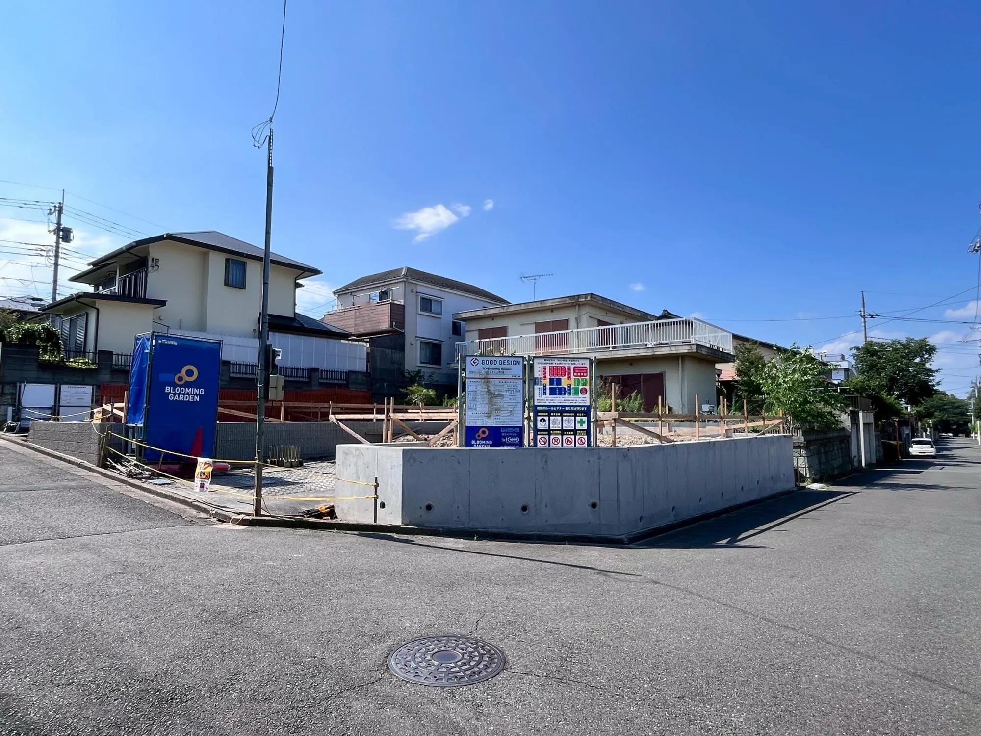 現地写真(7月中旬撮影)