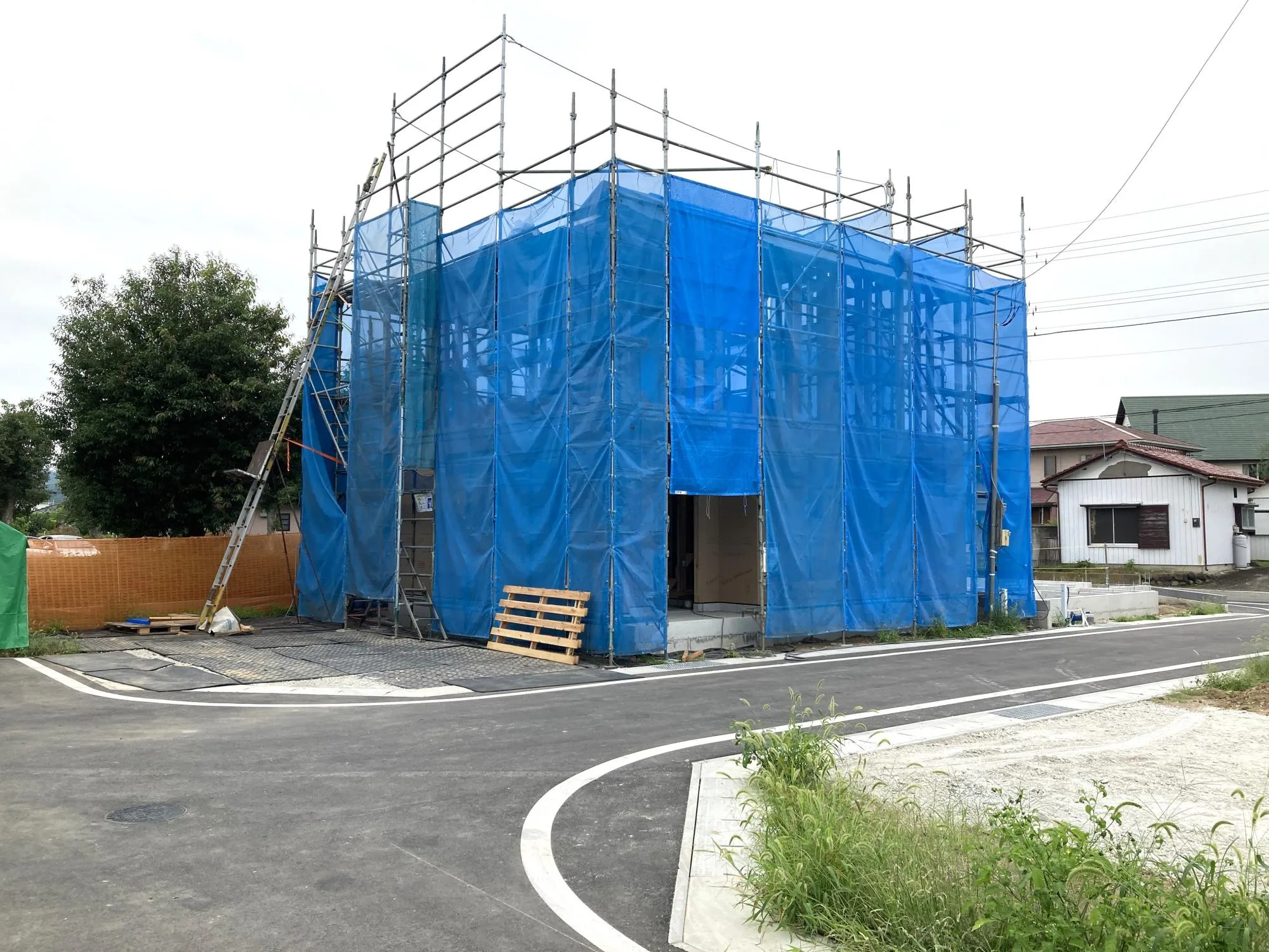 現地(7/12)