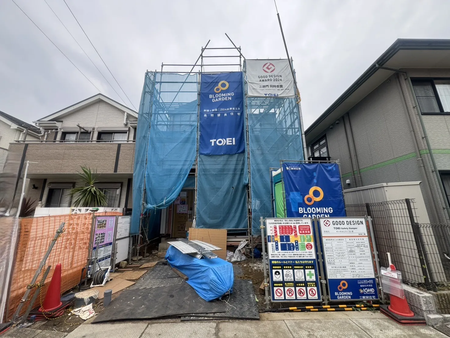 7月下旬撮影