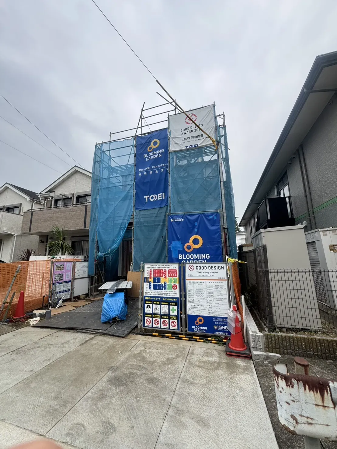 7月下旬撮影