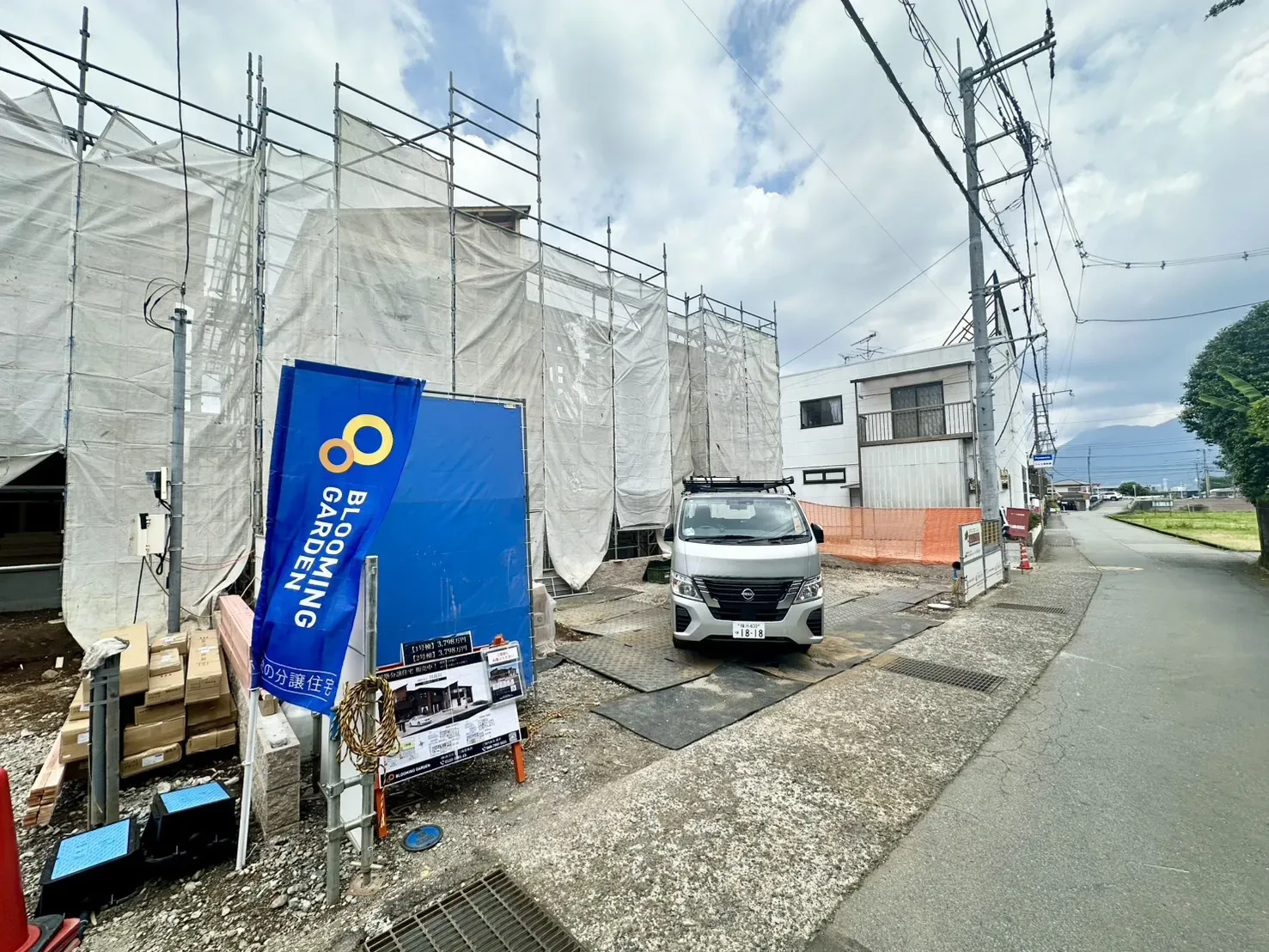 現地写真(6/19撮影)