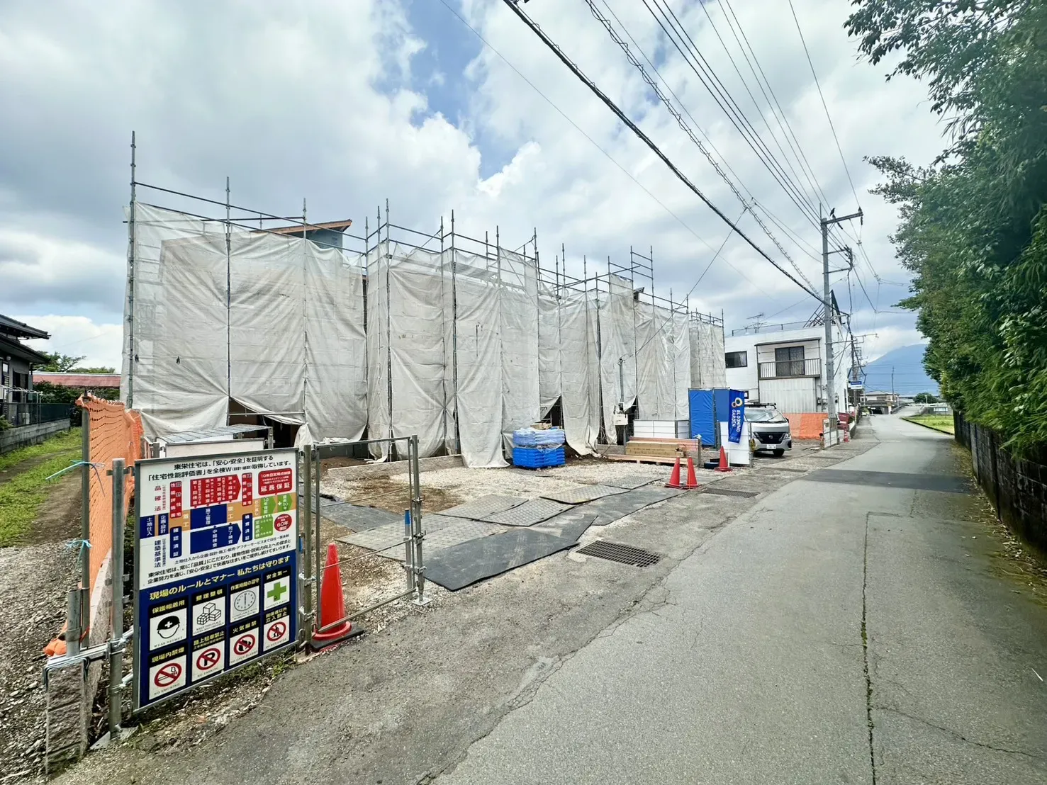 現地写真(6/19撮影)