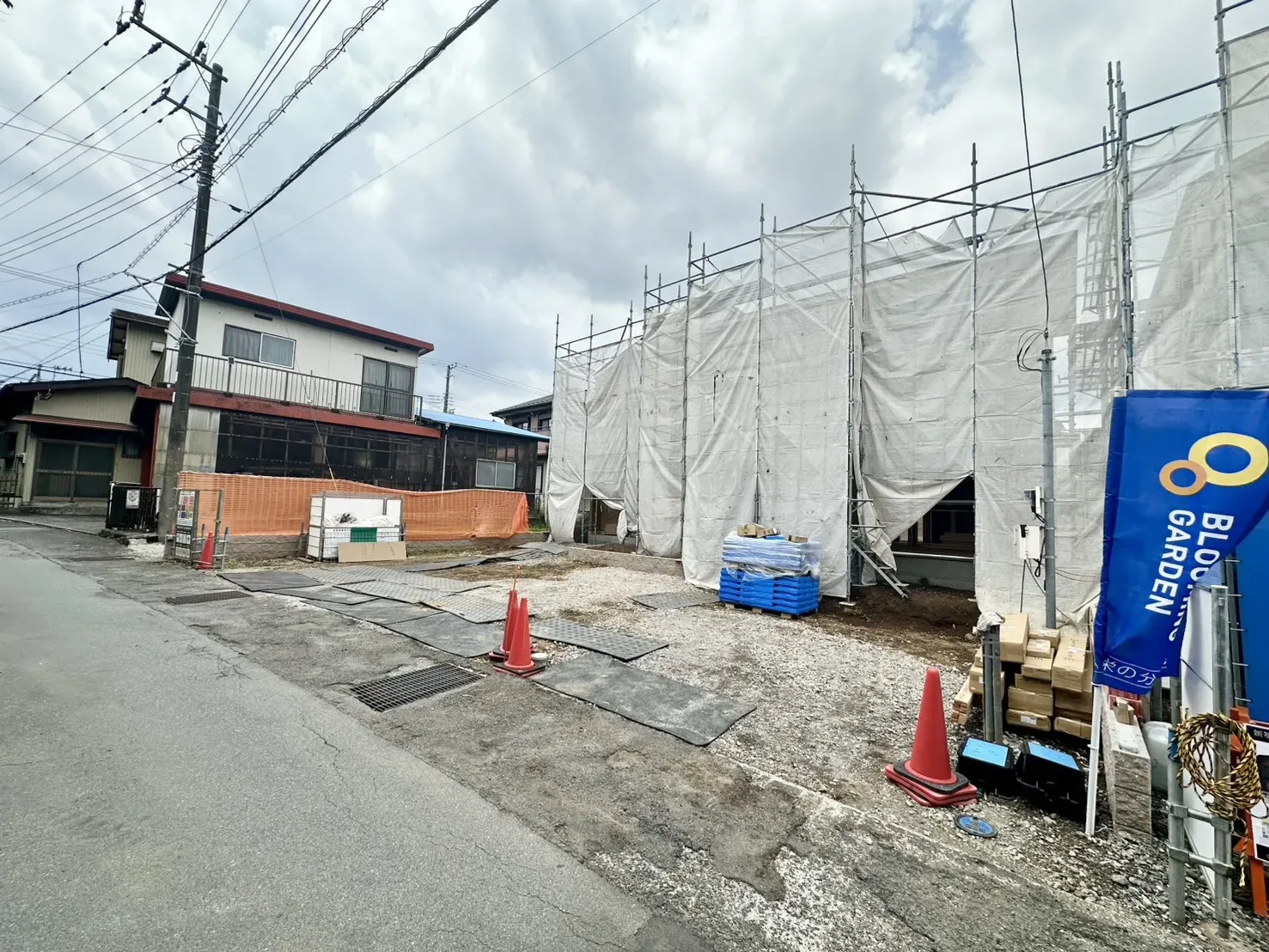 現地写真(6/19撮影)