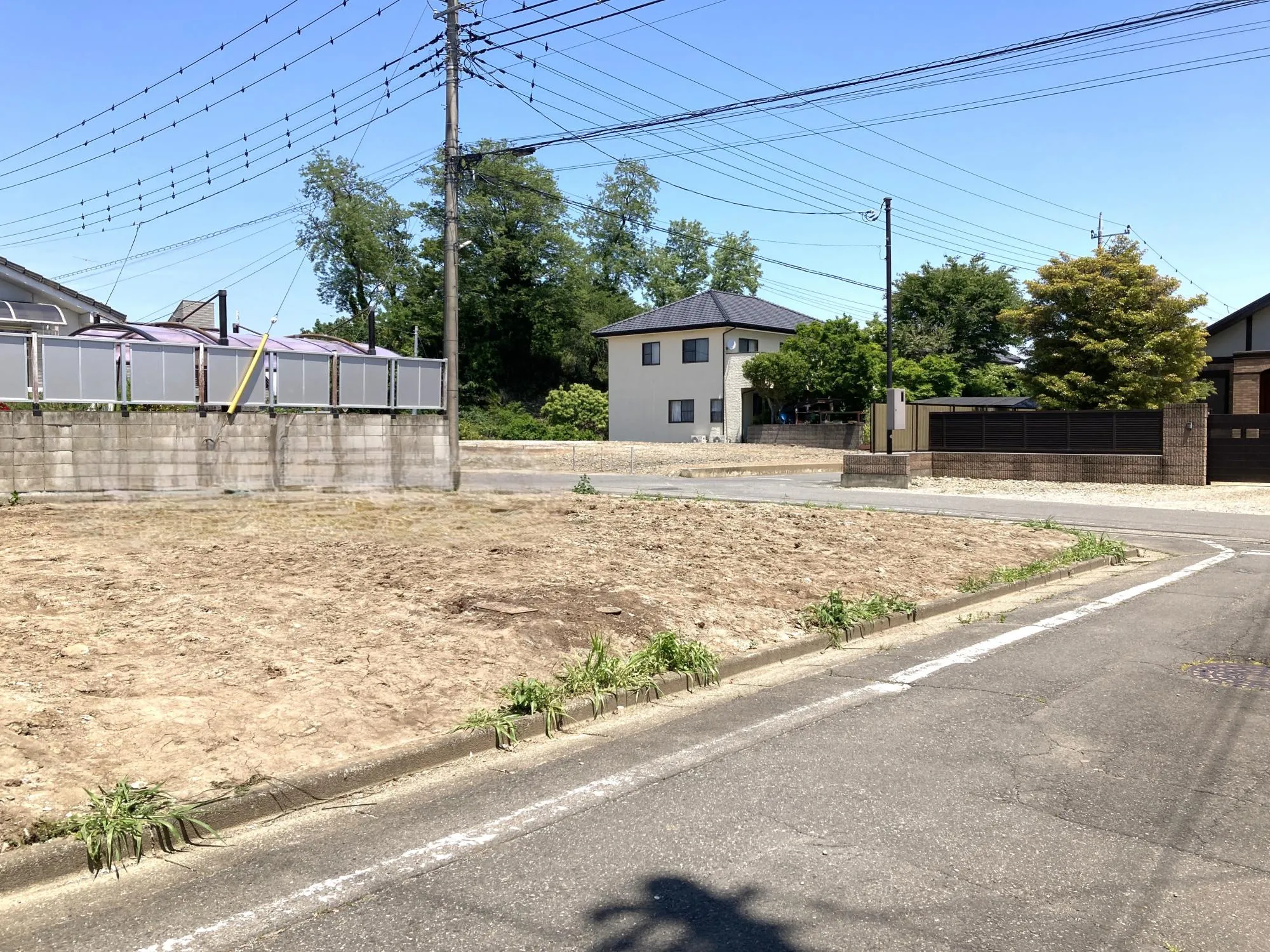 現地(5/17)