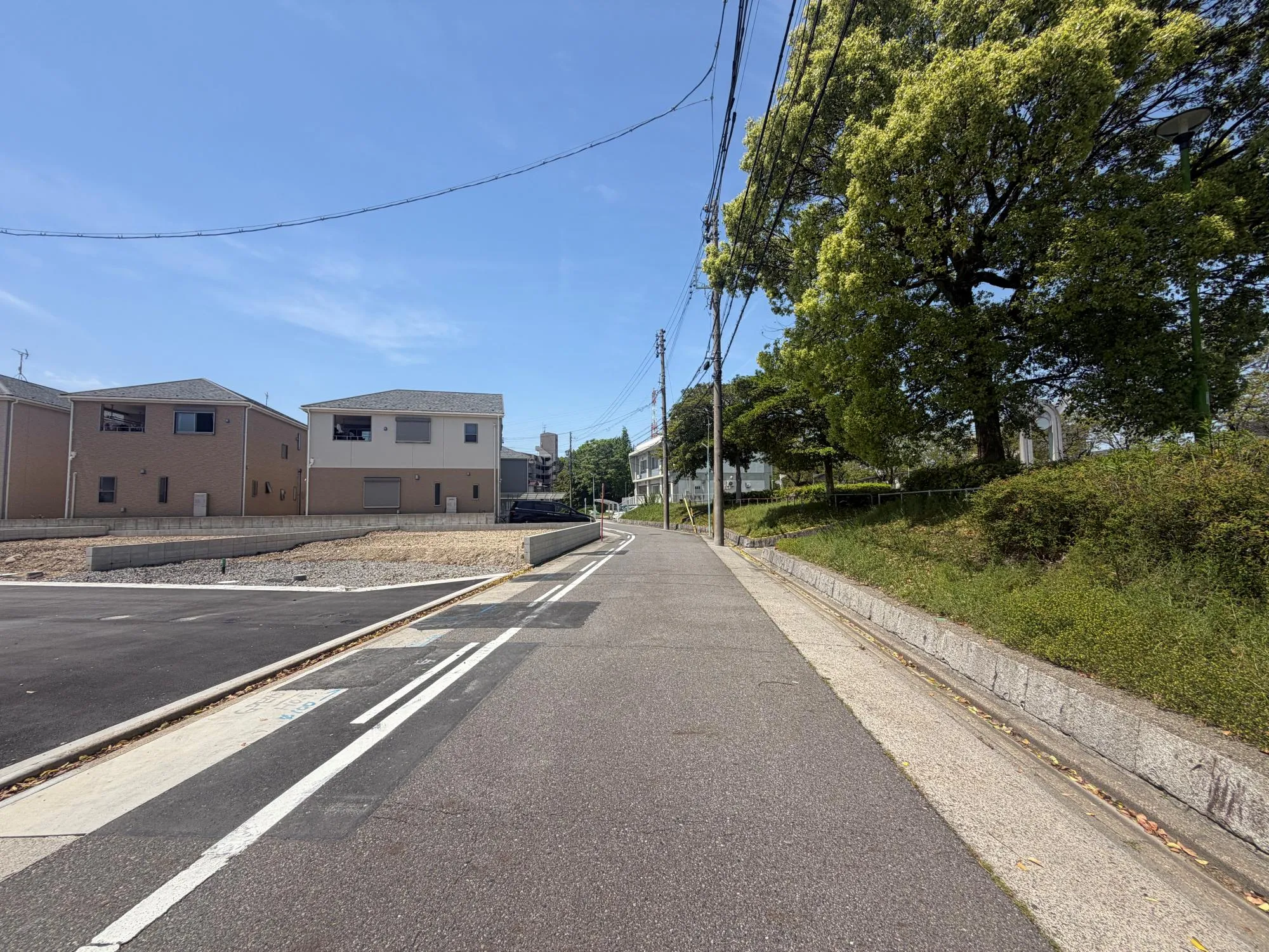 現地写真 2026年5月2日撮影