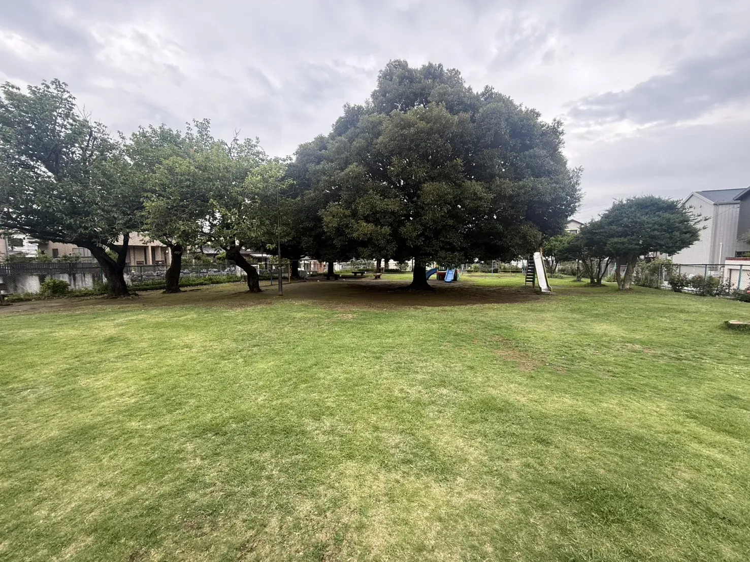 南ヶ丘公園