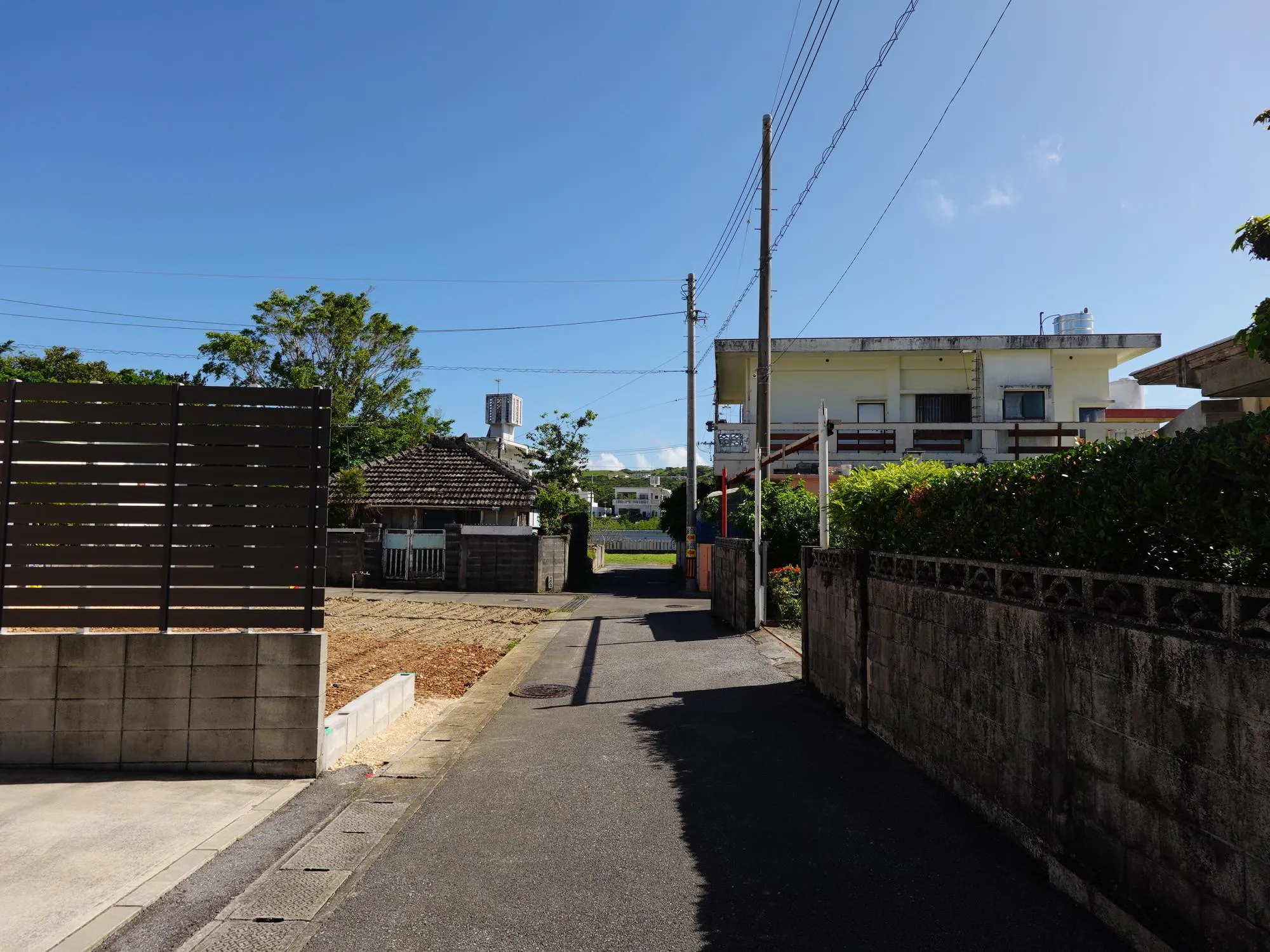 2026年8月下旬撮影