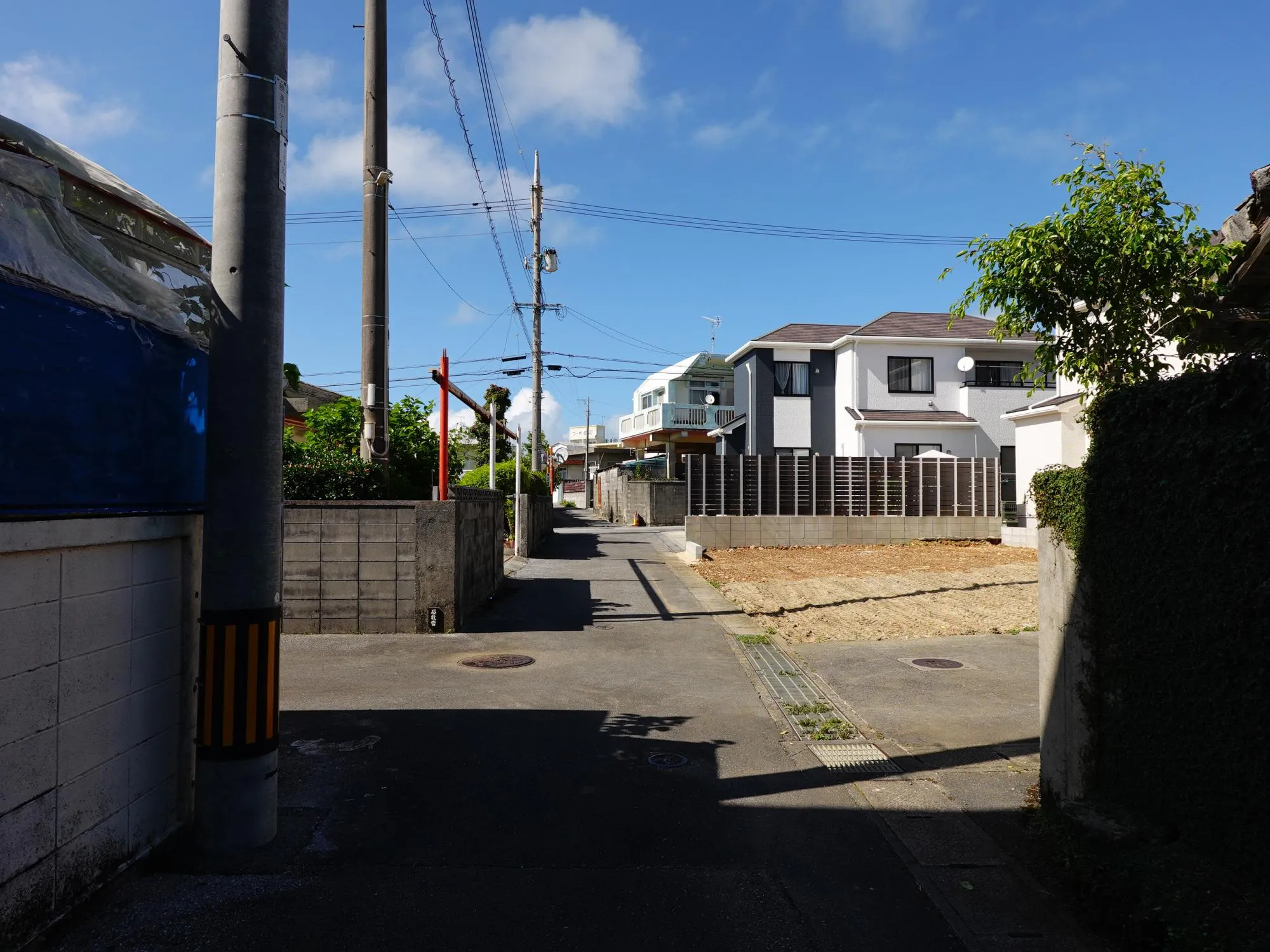 2026年8月下旬撮影